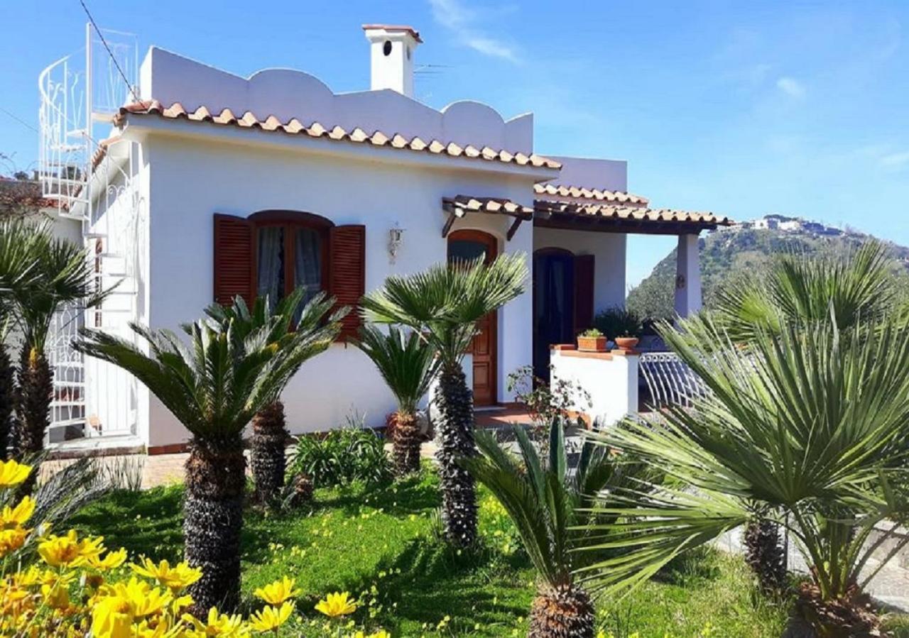 Holiday Apartments Lacco Ameno  Rom bilde